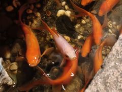 -邈墨茶馆(凤起路店)