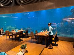 -涛·海底餐厅·美人鱼·自助餐·海底隧道(三亚海棠湾洲际度假酒店)