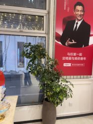 -爱儿美儿童摄影(五路居花园别墅店)