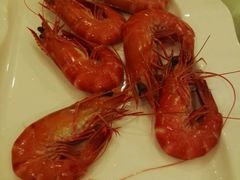 -新锦鸿(演达店)