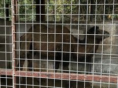 -揭东万竹园旅游景区