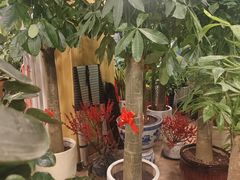 -双季花艺园艺市场(浦东店)