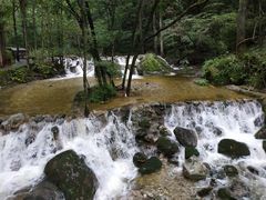 -牛背梁国家森林公园