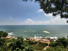 -小麦岛公园