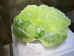 -湖南省地质博物馆