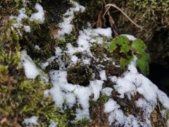 -西岭雪山大飞水景区