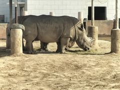 -秦皇岛野生动物园