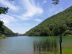 -桃花岭景区