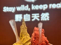 -野人牧坊Gelato(天津南开大悦城店)