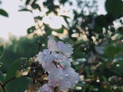 -泗洪洪泽湖湿地景区