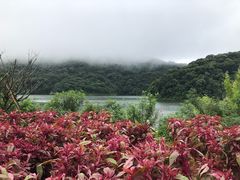 -广州市石门国家森林公园