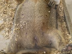 -怪兽屋·羊驼·猫咖·狗咖(俊华广场店)