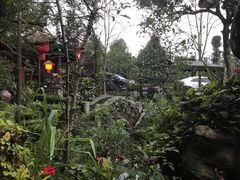 -青城甲(青城山店)