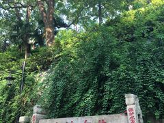 -白沙古井