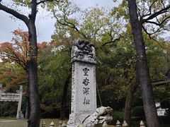 -灵谷景区