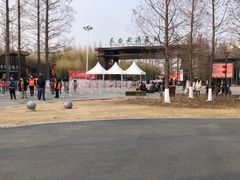 -黄海国家森林公园