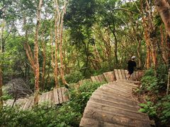 -白草畔自然风景区