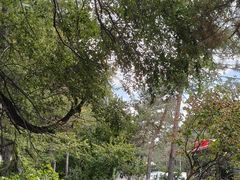 -长春市南湖公园