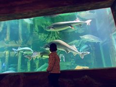 -华夏文旅海洋公园