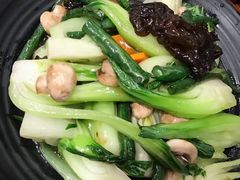 -石锅先生