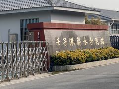-贡湖湾湿地公园