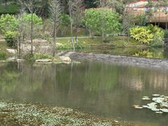 -云溪植物园