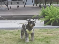 -一尺花园(安和花园店)