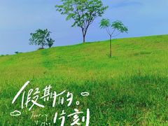 -良渚古城遗址公园