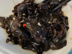 -陈生记黑鱼馆·20年活鱼现杀(宁波鼓楼店)