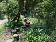 -龙苍沟森林公园