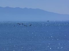 -青海湖二郎剑景区