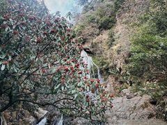 -东天目山风景区