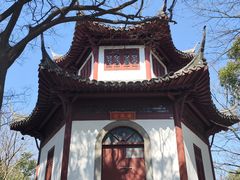 -上海佘山国家森林公园天马山园