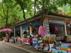 -合肥野生动物园