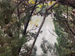 -苏州河梦清园环保主题公园