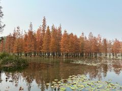 -白鹭·烟汀自然美学餐厅(白鹭湾店)