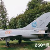 给我最爱的威龙打call