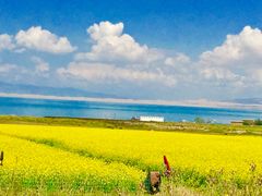 景点-青海湖国家重点风景名胜区