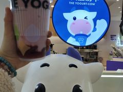 -一只酸奶牛(来福士店)