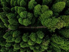-太阳湾风景区