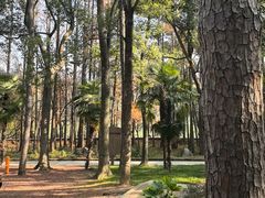 -东湖落雁景区