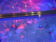 -佐度王子扒房(天鹅湖店)
