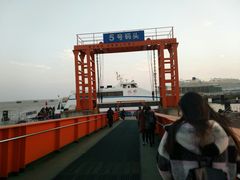 场地-吴淞口国际邮轮码头-停车场
