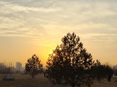 -汉长安城未央宫国家考古遗址公园