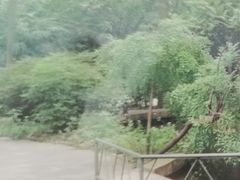 -西南交通大学(九里校区)