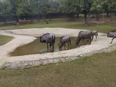 -西安秦岭野生动物园