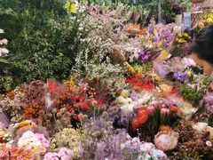 -花鸟鱼虫鲜花绿植市场(玉泉路店)
