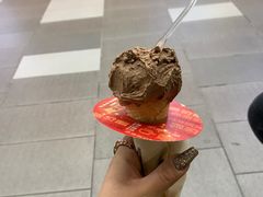 -野人先生现做冰淇淋(西安赛格店)