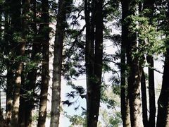 -四海公园(南山区)