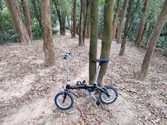 -火炉山森林公园